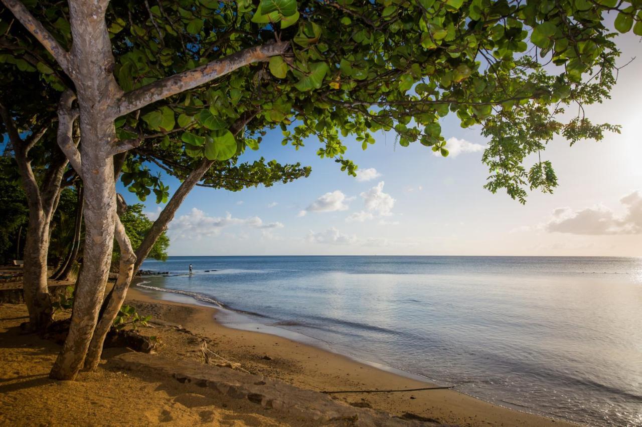 East Winds St. Lucia Hotel Грос Айлет Екстериор снимка