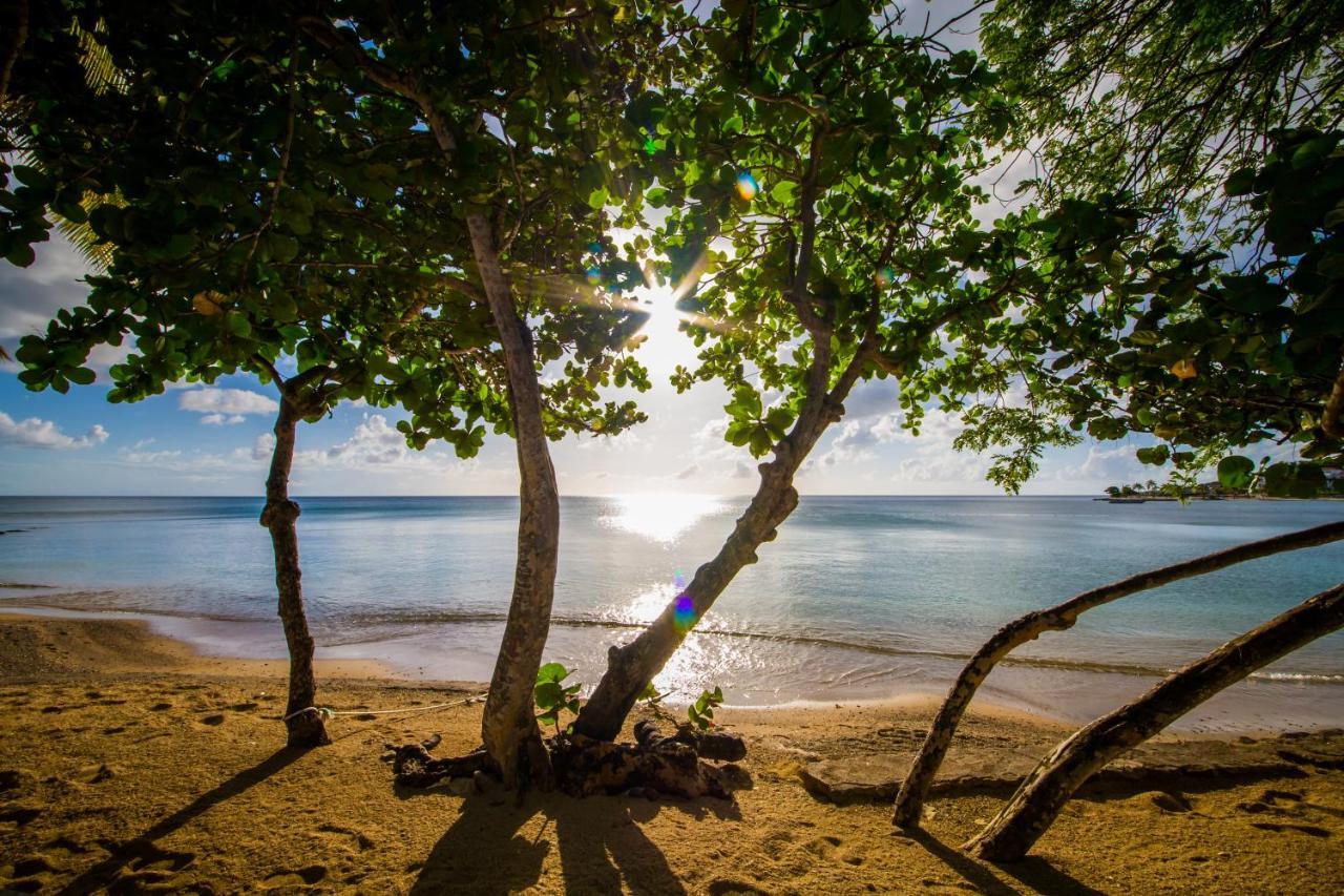 East Winds St. Lucia Hotel Грос Айлет Екстериор снимка